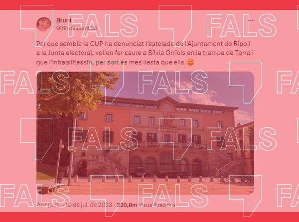 La CUP no ha denunciat l’estelada de l’Ajuntament de Ripoll, ho ha fet l’associació Impulso Ciudadano