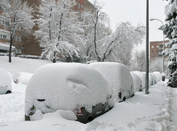 Imatge de Wikimedia (CC 4.0)