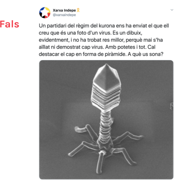 És fals que mai s’hagi aïllat un virus i que no es puguin fotografiar