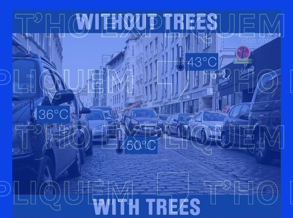 Las cubiertas vegetales de árboles sí tienen un impacto en las temperaturas de las ciudades