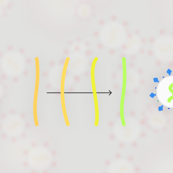 Vacunar a m&eacute;s gent no necess&agrave;riament promour&agrave; la proliferaci&oacute; de m&eacute;s variants virulentes