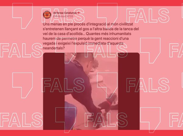 El jove que llança un gos en aquest vídeo viral no és un “mena” actualment en procés d’inserció