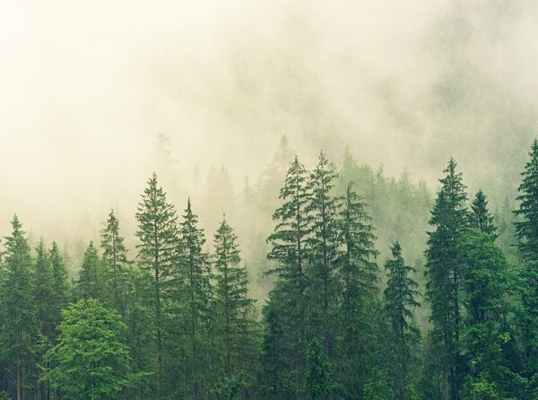 El CO₂ causa el calentamiento global, aunque respirarlo no afecte a la salud de las personas