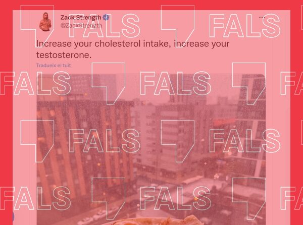 El consum excessiu de colesterol no augmenta els nivells de testosterona