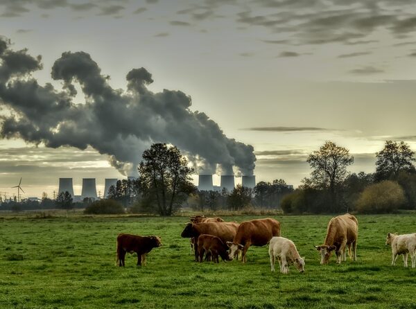 No es cierto que los países «más subdesarrollados» son los que más contaminan