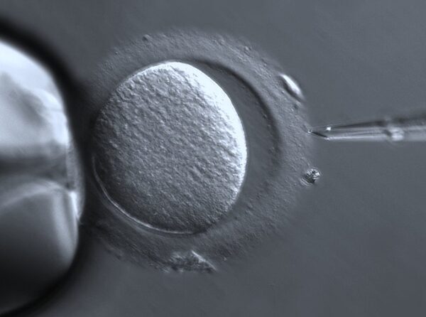 Font: Wikimedia Commons