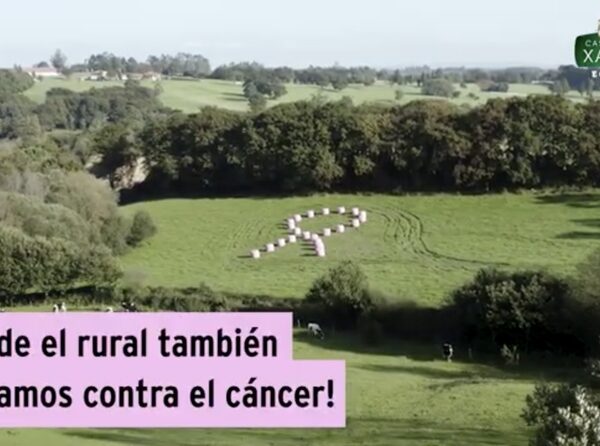 Com funcionen les campanyes solid&agrave;ries que recapten en funci&oacute; de les comparticions a xarxes?