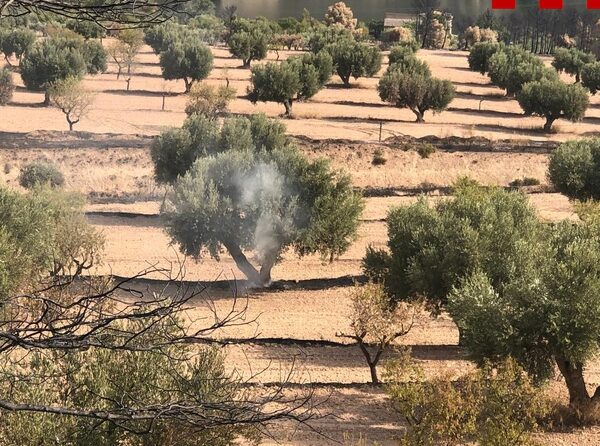 Bombers de Catalunya