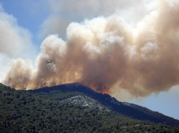 És enganyós dir que l’origen dels incendis és que els agricultors no estan autoritzats a “netejar el bosc”