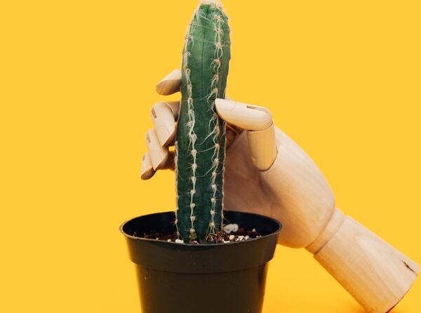 No ejacular durant un mes no té beneficis coneguts, però masturbar-se de manera freqüent pot reduir el risc de càncer de pròstata