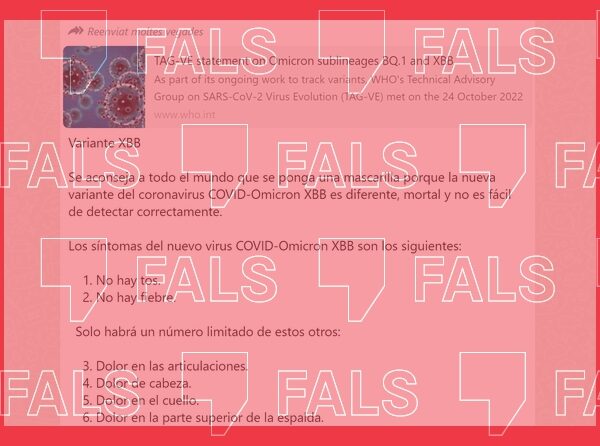 No hi ha evidència que el subllinatge XBB de la variant òmicron del SARS-CoV-2 sigui més virulent que la delta