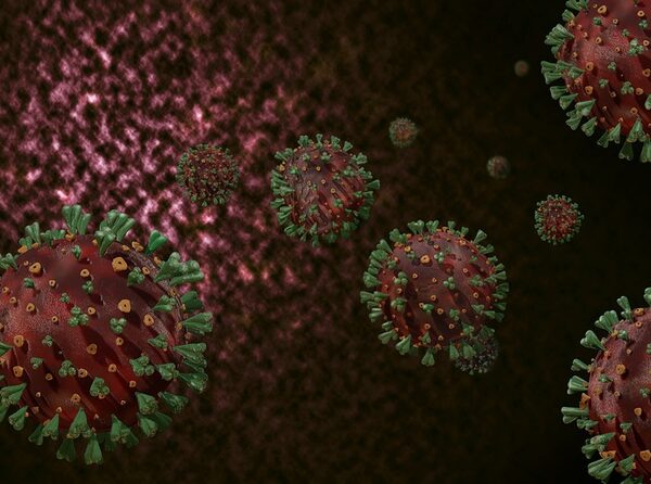 ¿Es la proteína Spike una toxina?