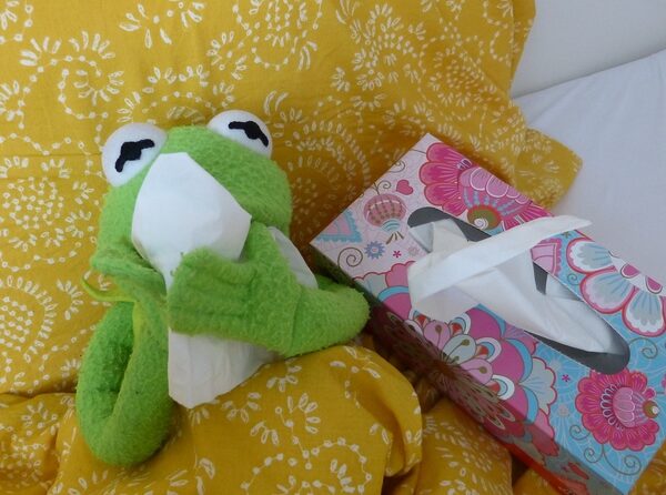 El frío no provoca resfriados, pero puede favorecerlos