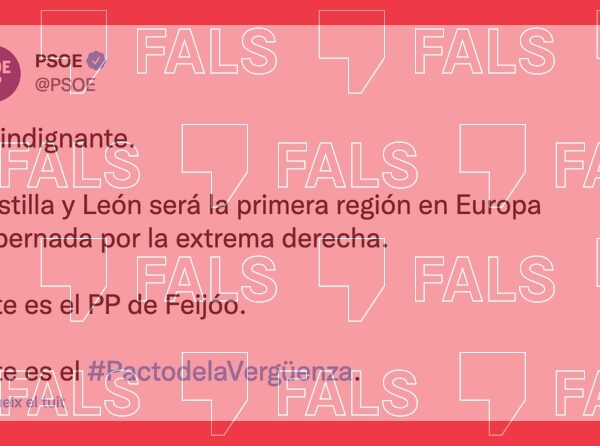 Castilla y Le&oacute;n no es la primera regi&oacute;n de Europa en la que gobierna la extrema derecha