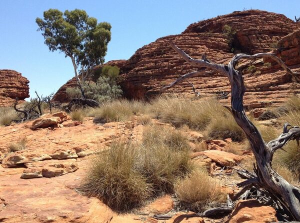 La sequera és un problema real que afecta l’aigua apta per al consum humà