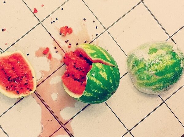 Els bacteris no compten fins a 5 per saltar al menjar que t’ha caigut a terra