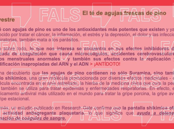 El té de agujas de pino no es un tratamiento eficaz contra las trombosis que pueden darse tras las vacunas