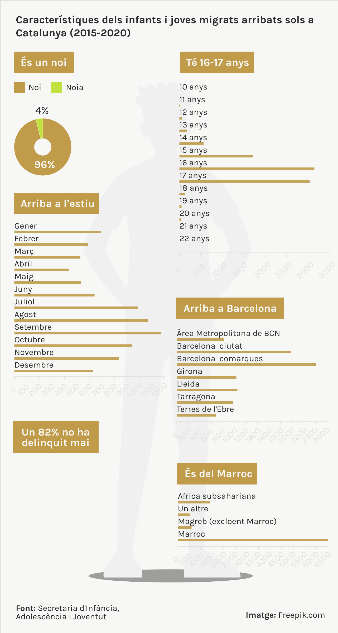 caràcteristiques dels joves migrats aribats sols a Catalunya