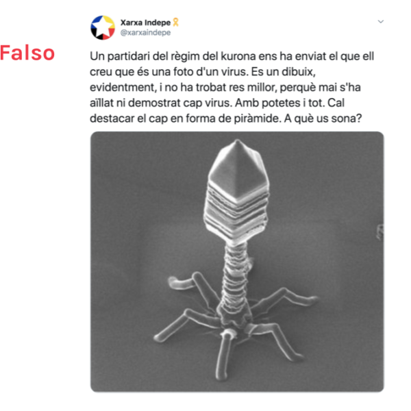 Es falso que nunca se haya aislado un virus y que no se puedan fotografiar