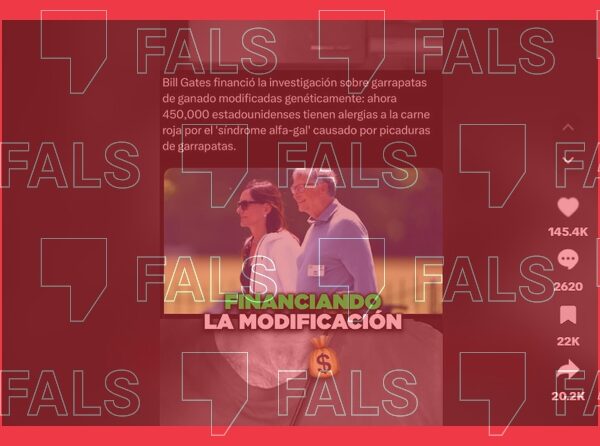 Captura de pantalla amb el filtre fals d'un TikTok que assegura que Bill Gates ha modificat genèticament paparres per a fer-nos al·lèrgics a la carn.