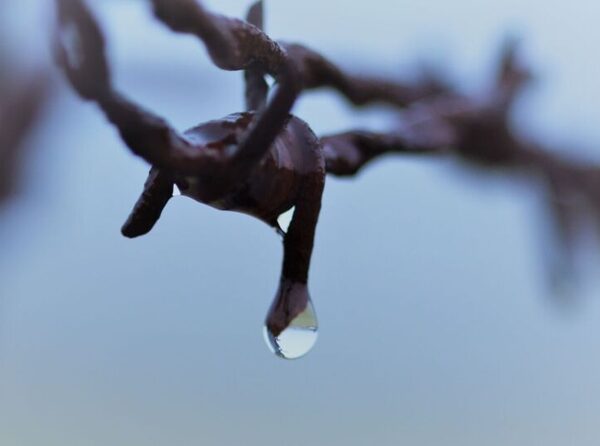 Argumentos y técnicas similares para difundir el odio contra los migrantes de Ucrania y del Sur global